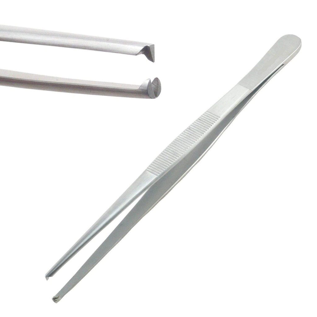 J&J Tissue Forceps 6" 2x3 Teeth 1/Pk