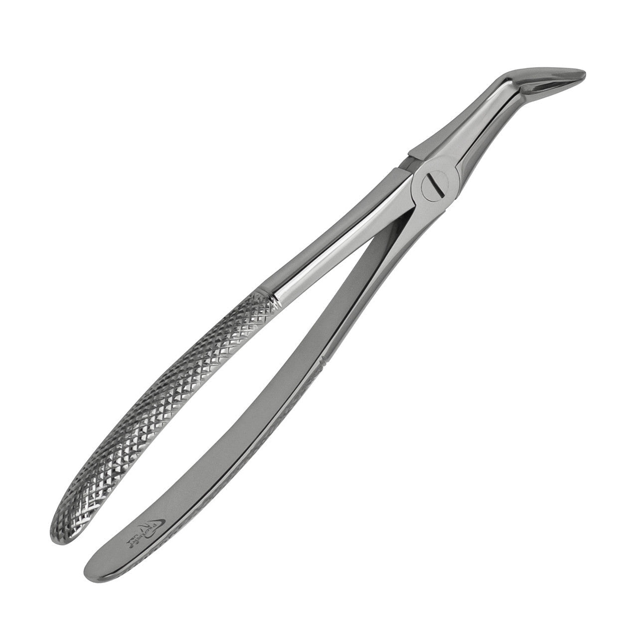 Lower Root Forceps European Style Serrated 1/pk